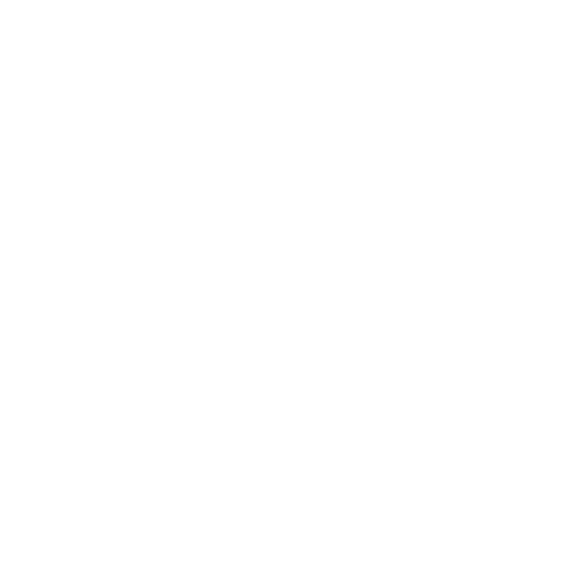 Zoom Logo